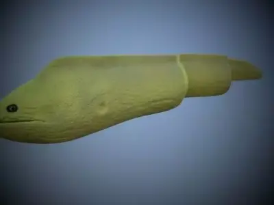 Green Eel 3D model