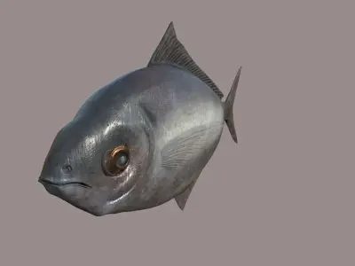 ButterFish fish Low-poly 3D model