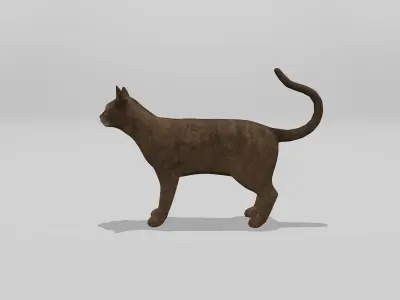 Abyssinian Cat Full Rigged Low-poly 3D model