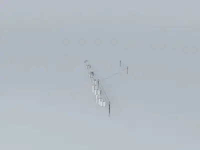 Trees on the Port Part 02 Free 3D model