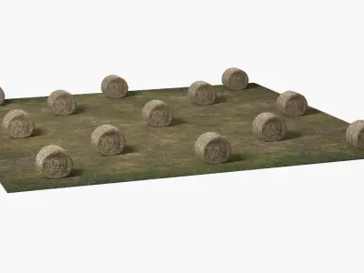 Farm Field with Round Hay Bale Rolls Golden Brown Fur 3D model