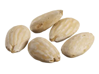  Roasted Almond Nuts Model 