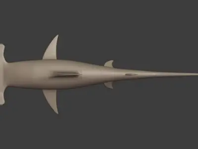 Hammerhead Shark 3D model