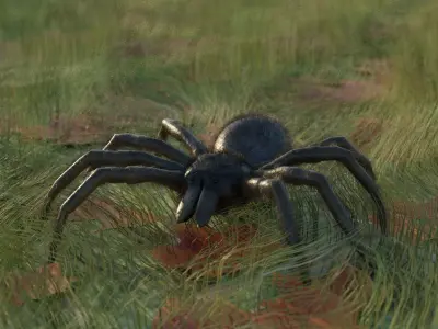 Low-Poly Spider RIGGED Free low-poly 3D model