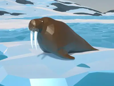 Walrus Low Polygon Animal Arctic sea ocean Low-poly Low-poly 3D model