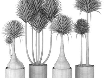 Indoor Plants in Ferm Living Bau Pot Large - Set020 3D model