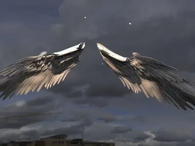 Holy Angel wings Long with UVs 3D model