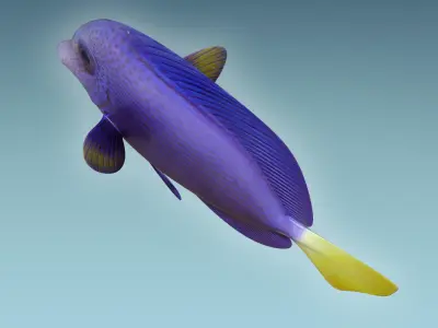 Zebrasoma Fish 2 3D model