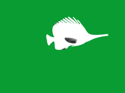 Longnose Butterflyfish Low-poly 3D model