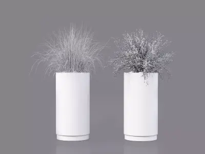 Indoor Plant 05 Free 3D model