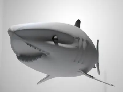 Shark - Great White 3D model