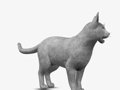 cat Russian blue 3D model