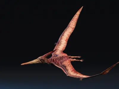 Low poly Realistic Dinosaur - Pteranodon Low-poly 3D model