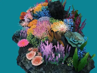 Coral corals and plants on rock 3D model