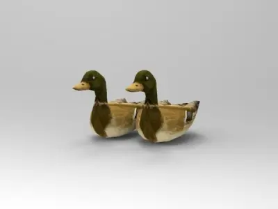 Swimming Ducks Low-poly 3D model