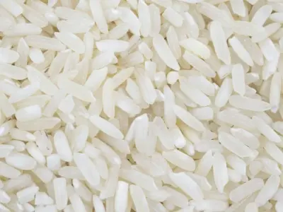 Sushi Model Low-Poly on wooden board Low-poly 3D model