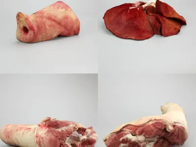 Raw Pork Parts - x10 Pack Low-poly 3D model