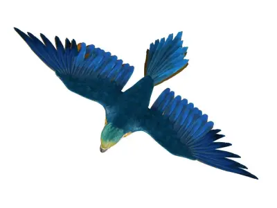 Gold Macaw 3D model