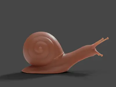 3D Snail Sculpture Model 3D model