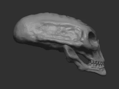 Alien Skull 3D print 3D print model