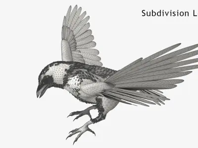 Crow - rigged - animated - Standard - PBR - VRAY Low-poly  3D model