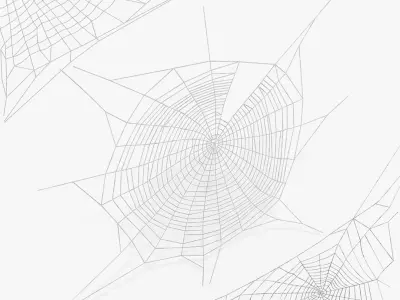 Spider Webs Collection 3D model