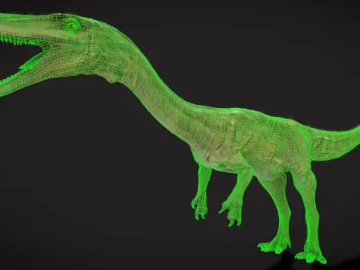 Coelophysis Low-poly 3D model