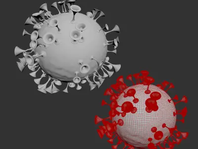 coronavirus corona virus 3D model