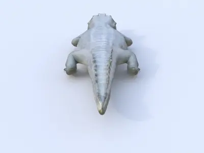 Gharial 3D model