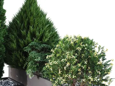 HQ Tree and bush garden box outdoor VOL 04 Free 3D model