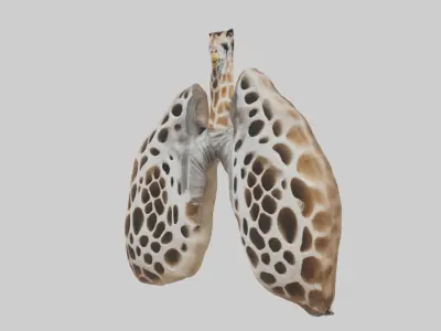 Giraffe Lungs Low-poly 3D model