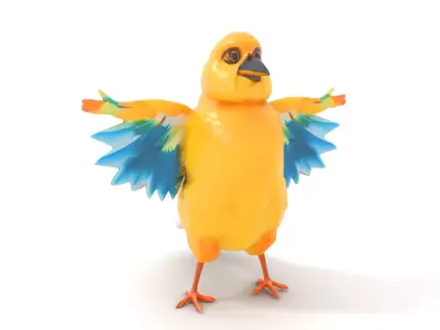 Vivid Parrot model pack Low-poly 3D model