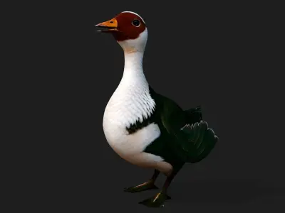 Duck A4 3D model