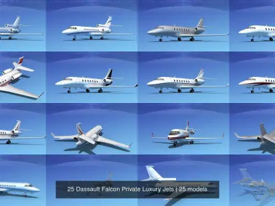 25 Dassault Falcon Private Luxury Jets 3D Model Collection
