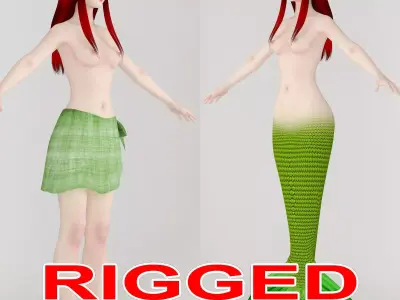T pose rigged model of little mermaid and human form 3D model