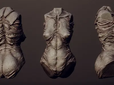 Demoness Part 2 Torsos x40 3D model