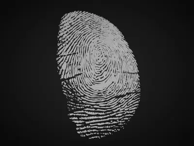 fingerprint 3D model