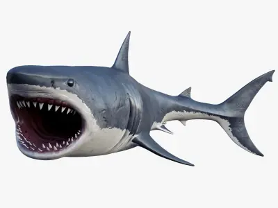  Set of Sea Animals Animated 8K Low-poly 3D model