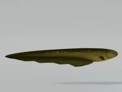 Electric Eel Low-poly 3D model