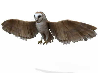 Owl bird 3D model