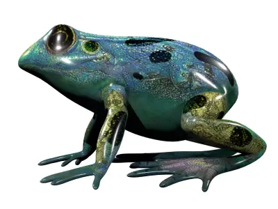 Poison Dart Frog Rig Low-poly 3D model
