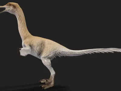 Halszkaraptor Low-poly 3D model