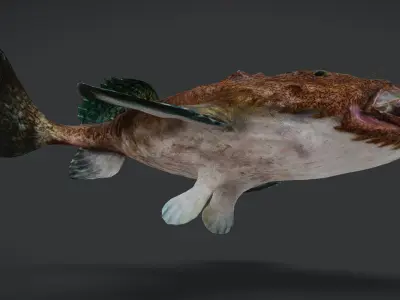 Goosefish - Anglerfish - Ocean Horror Monster - Animated 3D model
