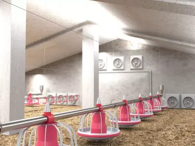 Poutry farm feeder drinker sawdust 3D model