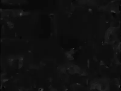 Christmas Teddy Bear 3D Model Adorable Holiday Gift Low-poly 3D model