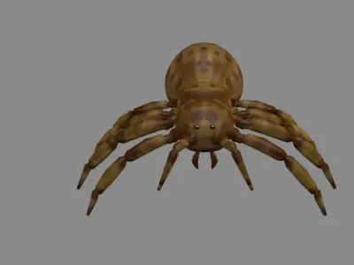 Spider game ready Low-poly 3D model