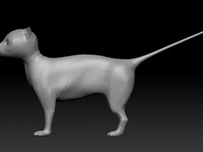 Cat 3D Base Model Low-poly 3D model