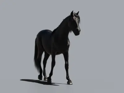 Horse animated 3D model get