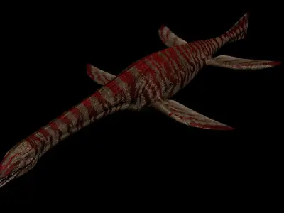 Cryptoclidus Pack Low-poly 3D model