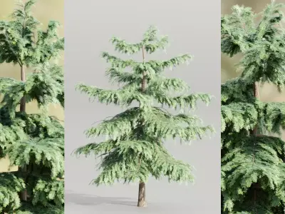 Pine trees collection vol 107 Blender Free 3D model